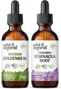 Tintura dorata biologica 2 fl oz & Echinacea Tintura 2 fl oz