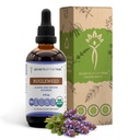 Segreti della Tribe Bugleweed Tincture Alcohol-Free Liquid Extract, USDA Organic Bugleweed (Lycopus Virginicus) Dried Herb (4 FL OZ)