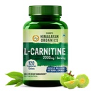 Himalayan Organics L-Carnitine L-Tartrate con Estratto di tè verde 2000 Mg | Gestione del peso sano | Supporta il recupero del muscolo, l'energia di aumento, la resistenza e la combustione grassa -120 compresse vegetariane
