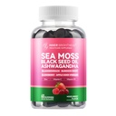 Sea Moss 4000mg Gummies con Ashwagandha, Elderberry, Aceto di sidro di mele, Bladderwrack, Radice di Burdock – Supporto immunitario – Aroma misto di bacche – 60 Conte