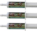 High Endurance Oral Paste Horse Supplement per Cavalli—3-Pack. Elettroliti, vitamine e minerali per aiutare a prevenire la disidratazione. Tre siringhe facili da 60 ml. Cox Veterinary Lab. Realizzato in USA.