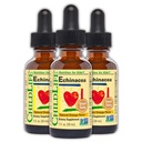CHILDLIFE ESSENTIALS Echinacea per bambini - Gocce di Echinacea per bambini, Tintura liquida, Supplemento gratuito per bambini, bambini - Arancione naturale, 1 Fl Oz (Pack of 3)