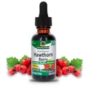La risposta della natura Hawthorn Berries | promuove la funzione di circolazione sana | aiuta a mantenere livelli di colesterolo sano | senza glutine, senza alcool, senza kosher certificato e senza riserve 1oz