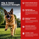 Cane Hip e supplemento congiunto - Dolore al cane Rilievo Anti infiammatorio con Glucosamina, Condroitina, MSM, Turmerico, Vitamina E, Omega 3 - Treats Hip Dysplasia, Artrite - Tutto Grande Piccolo Medio Breed