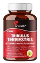 Amalth Tribulus Terrsestris, 20:1 Estratto per il servizio, massima potenza con Ashwagandha, Saw Palmetto, Shilajit 120 capsule