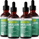 5-in-1 Gocce di Mullein per polmoni e Bronchial - Respiratory Lung Health Support with Mullen Leaf Extract for Lungs - Mullein Tincture with Elderberry, Echinacea and Ginger Root (120 Servings) (4-pack)