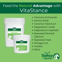 Stance Equitec VitaStance Vitamina, Minerale e Aminoacido Supplemento per cavalli, 28.5 lb