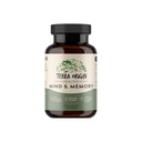 TERRA ORIGIN Integratore di supporto sano della mente e della memoria | Matrice cognitiva della memoria | CDP Nootropic, Bacopa, L-tirosina, Huperzine A, Ginko, B12 | Non OGM, Gluten Free, Dairy Free | 30 capsule