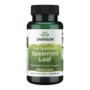 Swanson Spearmint Leaf (Mentha Spicata) - Full Spectrum Herbal Supplement Supporting Digestive Health & Mild Stomach Issues - Natural Formula Supporting Health & Wellness - (60 Capsule, 400mg Ogni)