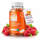 A Dose of Kids Immunity Support Gummies - Daily Immune Booster Supplemento Quercetin Gummies for Children with Vitamin B Complex, Vitamina C, Zinc, Vitamina D, Quercetin Bromelain, Echinacea - 60 Count