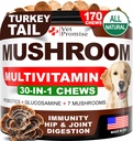 Mushroom for Dogs - 170 Chews - Tail Turchia - Integratore di funghi per cani - Lions Mane - Reishi - Supporto per l'immunità Vitamine Multivitamina - Joint Health - Energy - Gut - Skin - Made in USA