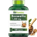 tnvitamins Boswellia Extract Capsules, 120 Count | 1.200 mg Per Capsule | 65% Acidi Boswellici + 10:1 Estratto concentrato | Boswellia Serrata | Joint & Mobility Support*