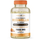 Integratore comune di supporto dell'estratto di Boswellia Serrata alimentato dalle piante – 65% di acidi boswellici ad alta potenza con BioPerine – Supporta l'immunità, la mobilità e la flessibilità – 120 capsule vegane