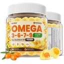 Omega 3-6-7-9 Gummies, Organic Sea Buckthorn olio 1200MG & Flaxseed olio 500MG, Vegan Omega 7 supplemento w/Vitamina A, C, E, acidi grassi, nessun gusto di pesce, Supporta pelle, occhio, immunitario, salute del cervello, 60 Cts