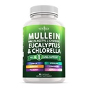 Estratto di foglie di Mullein per polmoni Cleanse NAC Supplemento Chlorophyll Chlorella Elderberry Ginger Licorice Astragalus Oregano supporto currico 90 Conte