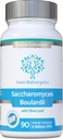 Saccharomyces Boulardii 5 miliardi di CFU 90 capsule - No Refrigeration Required - High Strength Non-Colonising Yeast with synergistic Olive Leaf, Biotin and Vitamin D3