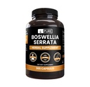 Ingredienti originali puri Boswellia Serrata (365 capsule) No Filler di Magnesio o Riso, Sempre Pure, Verified Lab