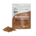 Polvere di Estratto di Mushroom - Potente 10 Blend, Organic Lions Mane, Cordyceps, Reishi, Shiitake, Turkey Tail Mushrooms Nootropic Brain Supplement for Energy, Calm, Focus & Immune System Booster