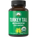 Peak Performance Organic Turkey Tail Capsules - USA Cresciuto Made con il Mushroom Tail della Turchia reale. Sostegno del sistema immunitario Naturalmente ha raccolto i supplementi di funghi per l'immunità. Estratto di integratore vegano