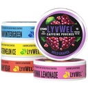 LyvWel 225mg Caffeine Energy Pouches | Nootropic Focus & Neuro Support | Tobacco-Free, Nicotine-Free, Soluzione ad energia rapida | 5-Pack: 60 Pouches (5 Pack, Multi-Pack)