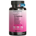 VINATURA Lactobacillus Rhamnosus, Reuteri, Gasseri, Plantarum, Crispatus, Acidophilus Probiotics - Probiotici per le donne *USA Made & Tested* Women Vaginal Health, Gut and Digestive Health - 30 Capsule