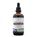 Segreti della Tribe Spirulina Alcohol-Free Liquid Extract, Spirulina (Arthrospira Platensis) Integratore di tintura (4 FL OZ)