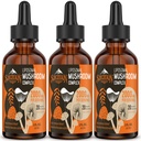 Liposomal Mushroom Complex Drops 2000 MG - 20 estratti di funghi biologici - Advanced Liquid Formula per l'immunità, la cognitiva e la memoria - Lions Mane Supplement, Reishi, Cordyceps, Chaga, 90 Servings