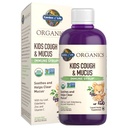 Giardino della vita Organics Elderberry & Zinc per il supporto immunitario dei bambini, Kids Cough & Mucus Immune Syrup con Ivy Leaf, Vitamina C e Echinacea per i bambini, Alcohol-Free, Senza zuccheri aggiunti, 3.92 fl oz