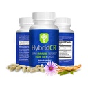 Integratore Immunitario Rapido HybridCR | Zinc, Echinacea, Andrographis, Ginseng, Selenium, Gluten-Free & Non-GMO | Supplemento di supporto Immune 5-in-1 | Pharmacist Formulato 1 mese di fornitura (30 Caps Veggie)
