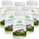 Integratore attivo di 1500 mg di Hexose Corcorrelato, Integratore naturale di 8 funghi, Sistema immunitario, Funzione di fegato, Killer naturale e T Celle, 540 capsule di verdure