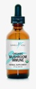 Organic Mushroom Immune Defense Support | Integratore di sistema di immunità completo 2fl oz/59ml Gocce con assorbimento massimo e biodisponibilità | Vegan, Herbal 525mg per porzione ● 2 mesi di fornitura