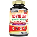 Estratto di foglie di vina rossa - con ciambelle di cavallo, radice di barbabietola, zenzero - Supplemento di erbe per il cuore, vena di gambe & energia - 90 capsule vegane per 45 giorni