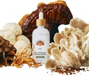 Rainbo - 11:11 Multi Mushroom Tincture - 11-in-1 Alcohol Free - Dual Extract Mushroom Blend - Supporto immunitario completo, Supporto cerebrale, Liquid Lion's Mane & Turkey Tail, Vegan, Non OGM, 3.4 fl oz