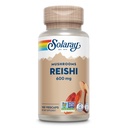 SOLARAY Reishi Mushroom 600mg - Capsule Reishi Mushroom per Supporto Immune - Vegan, Lab Verificato - 60-Giorni Garanzia di rimborso - 100 Serve, 100 VegCaps