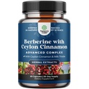 Balancing Berberine Plus 1200mg Per Serving Complex - Antiossidante Berberina con Ceylon Cinnamon Capsule Plus Silymarin Milk Thistle Extract - Active PK per la salute del cuore e il supporto allo zucchero 60 capsule
