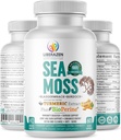 Organic Irish Sea Moss Pills - Wildcrafted Dr Sebi Ispirato Seamoss Blend con Turmeric, Burdock Root & Bladderwrack, Enhanced with Black Pepper - 60 Capsule