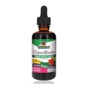 Estratto di biancospino biologico 2 Oz - Alcol basso, Gluten Free & Kosher - Supporto cardiaco - Ideale per il tè di bacche di biancospino