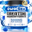 Creatina Monoidrato Gummies per gli uomini e le donne 5000mg Creatina Monoidrato per porzione per il supporto muscolare Energia Boost 120 Conte Chewable 5g Creatina Supplemento Zucchero Libero Vegan (1 pacchetto, lampone blu)