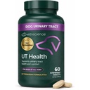 Tavolini per la salute UT a azione rapida, supplemento STAT di resistenza UT per cani, mirtillo, Uva Ursi e Chanca Piedra a Soothe Urinary Tract Discomfort, fumo, 90 Conte