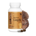 Vita Green Lingzhi Mushroom Capsule per Energia, Memoria e Supporto Immune – Pure Reishi Supplement con Antiossidanti Naturali per Benessere ed Energia – 72 Capsule