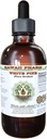 Estratto di liquido senza alcool di pino bianco, Pino bianco (Pinus Strobus) Dried Bark Glycerite Natural Herbal Supplement, Hawaii Pharm, USA 4 fl.oz