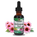 Risposta della natura Echinacea Alcohol estratto libero 1 oncia fluida | Promuove il benessere complessivo | Booster Immune naturale | Riduttore infiammatorio