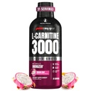 ProSupps L-Carnitina Liquid 3000, Stimolant-Free Liquid Shots per Uomo e Donne - Bevande di allenamento pulite per l'energia, Performance & Muscle Recovery - No Sugar, No Carbs - 31 Serve, Dragon Fruit