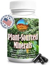 Fulvic Humic Mineral Blend of Trace Minerals, Electrolytes, Gut Health, Funzione cognitiva, Hydration & Immune Support, Pure Vitality Formula for Wellness - 60 Capsule