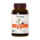 Himalaya StressCare Herbal Supplement, Supporta lo stress sollievo, Supporto energetico, Rilassamento, Occasional Sleeplessness, Ashwagandha, Santo Basilio/Tulsi, Gotu Kola, Non OGM, Vegetariano, 240 capsule