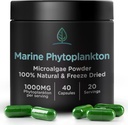 Capsule di Phytoplankton Marine di Bin Holistic | Naturally Grown in Nordic Seawater | Vegan Omega 3 Supplemento | Ricco in Aminoacidi, Clorofilla, Vitamine, & Trace Minerals