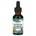 La risposta della natura Enchinacea & Goldenseal | Supporta un sistema immunitario sano | Estratto puro super concentrato | privo di alcol, senza glutine, Vegan & Kosher Certificato 1oz