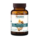 Himalaya Boswellia, Joint Support for Mobility and Flexibility, promuove la conservazione dei tessuti, 250 mg, 60 capsule