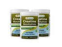 Migliore naturale creatina monoidrato 1 Lb polvere pura (1 LB (pacchetto di 3))