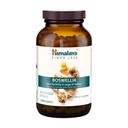 Himalaya Boswellia, Joint Support for Mobility and Flexibility, promuove la conservazione dei tessuti, 250 mg, 240 capsule